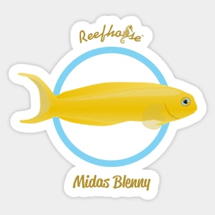 Midas Blenny Sticker